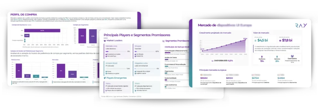 Exemplos de relatórios da Ray: perfil de compra, concorrentes, segmentos e projeções de mercado